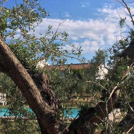 Tenuta Don Ballore Country Farmház Galtellì