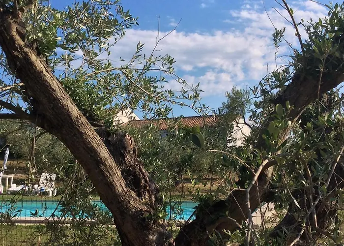 Tenuta Don Ballore Country Vakantieboerderij Galtellì