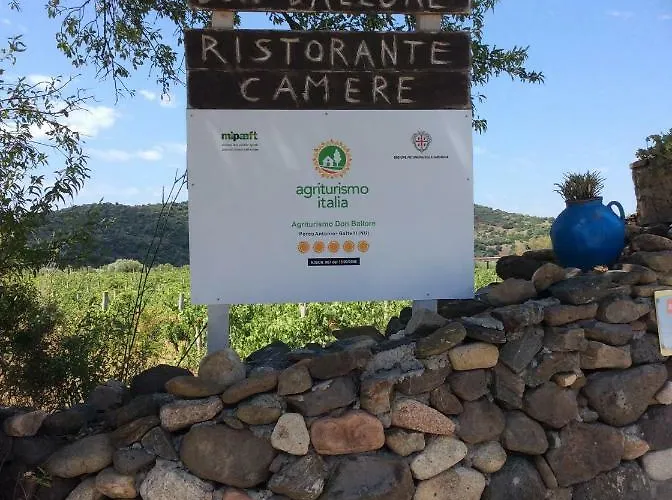 Vakantieboerderij Tenuta Don Ballore Country *